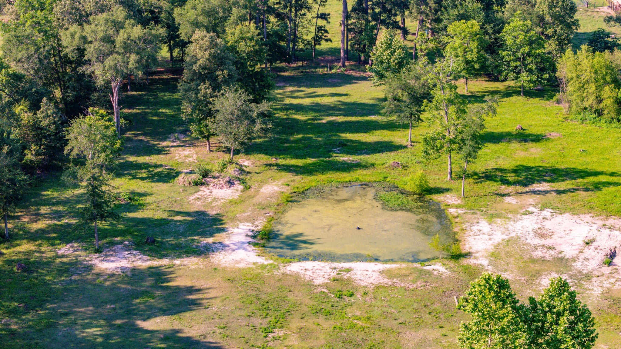 457 East Texas Road Lufkin, TX 75901 - Photo 14 of 44