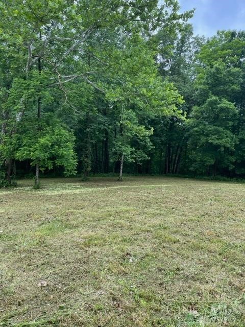 Lot #1 Middleboro Road Morrow, OH 45152 - Photo 4 of 14
