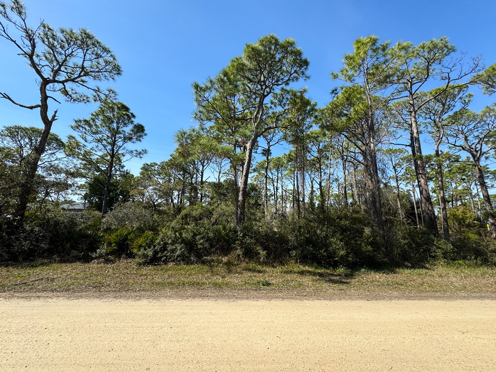 308 Howell Street St. George Island, FL 32328 - Photo 2 of 20