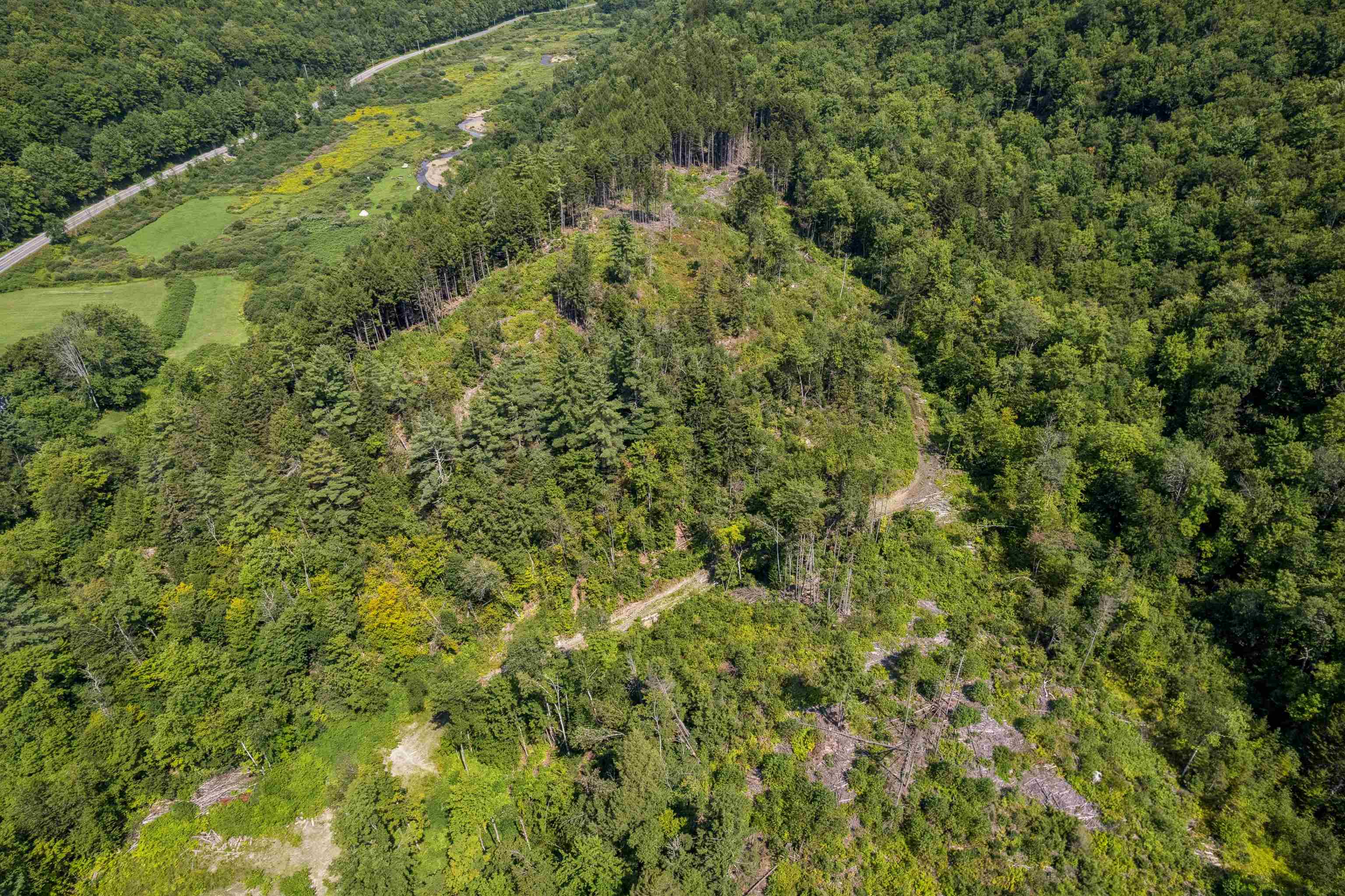 0 Handly Road Roxbury, VT 05669 - Photo 12 of 20 Gallery Image 12
