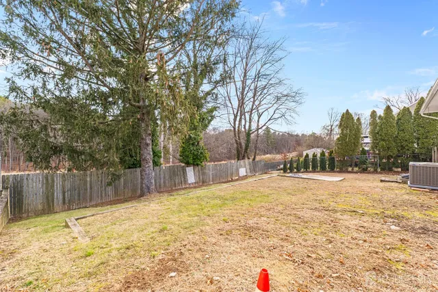 a view of a yard with a large tree