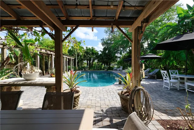 a view of a yard with plants and large trees