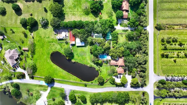 a view of a garden with plants