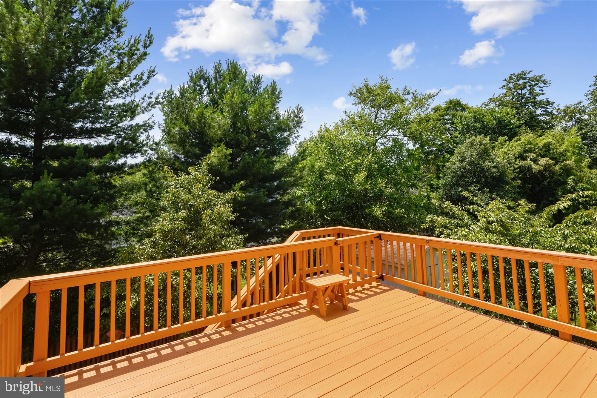 1824 Opalocka Drive McLean, VA 22101 - Photo 72 of 105