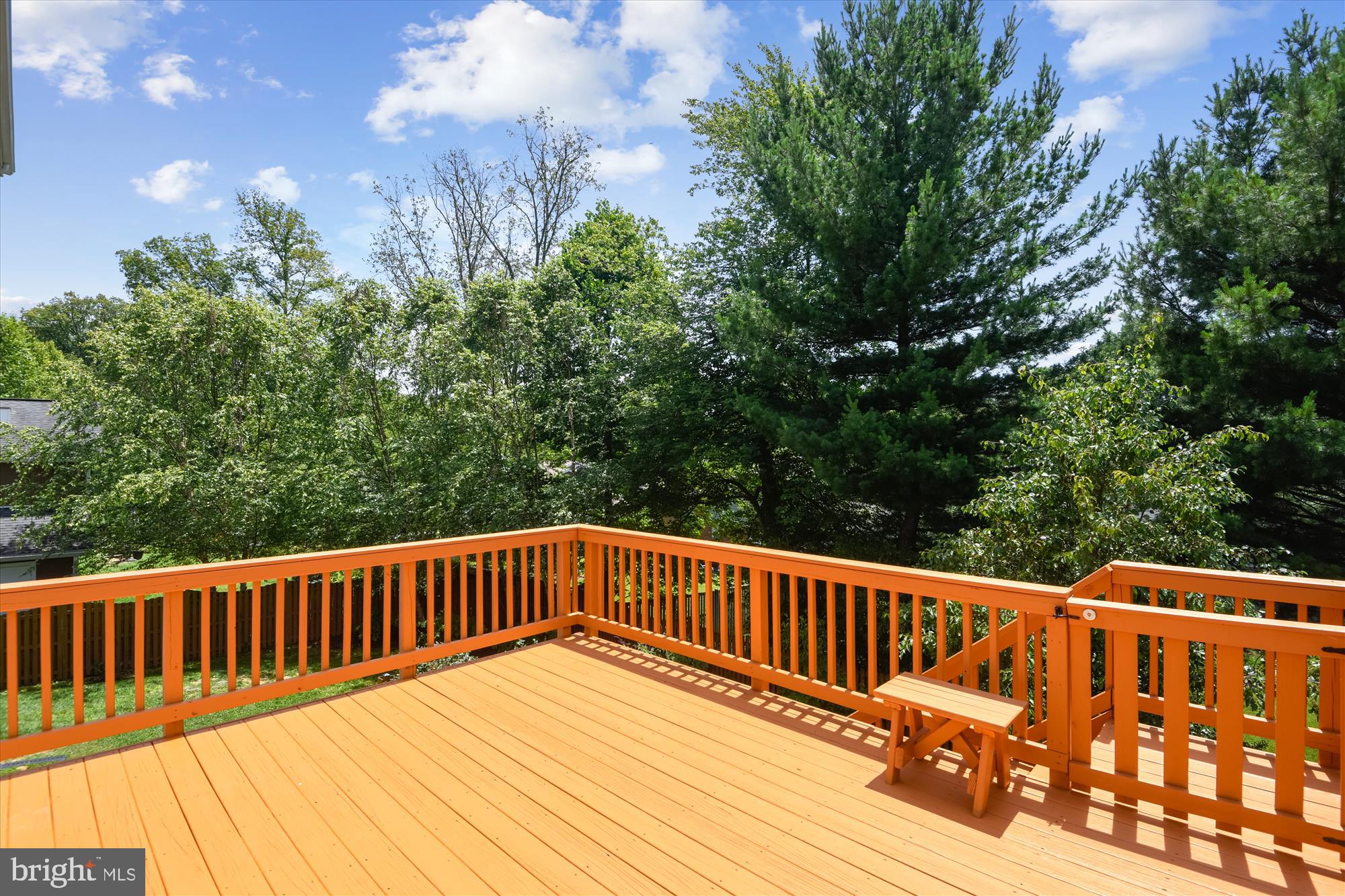 1824 Opalocka Drive McLean, VA 22101 - Photo 73 of 105