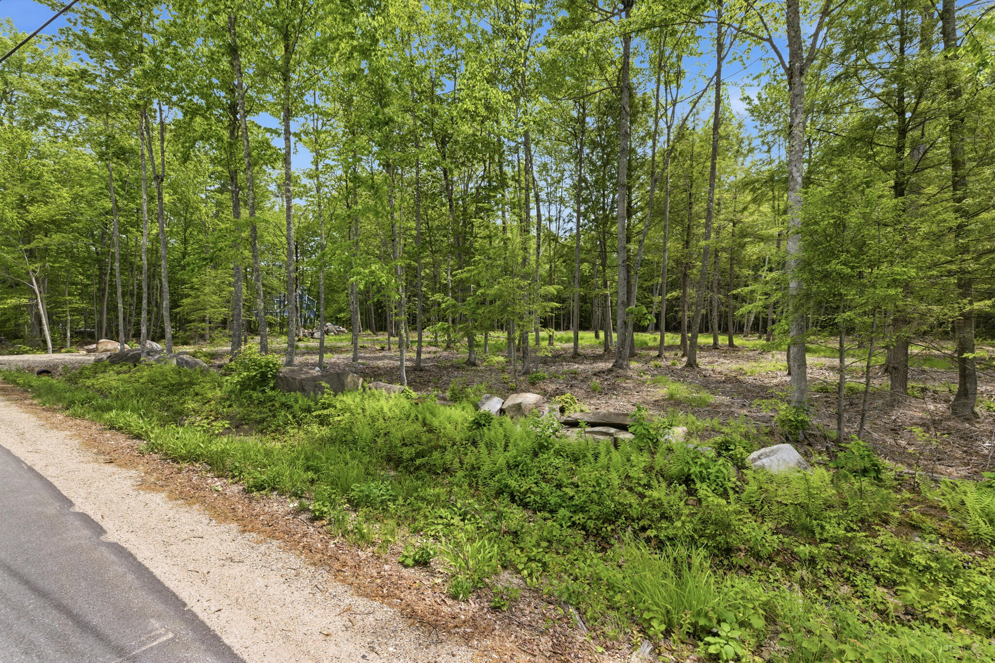 0 Buzzell Road Acton, ME 04001 - Photo 14 of 17 28