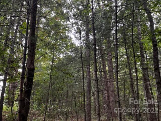 1923 Ridge Road, Unit 6 Hendersonville, NC 28792 - Photo 13 of 16 a view of forest