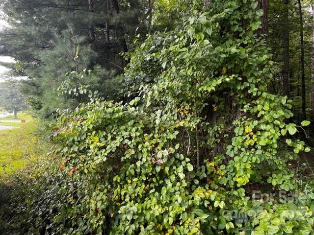 1923 Ridge Road, Unit 6 Hendersonville, NC 28792 - Photo 15 of 16 a view of a tree
