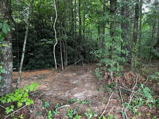 1923 Ridge Road, Unit 6 Hendersonville, NC 28792 - Photo 2 of 16 a backyard of a house with lots of green space