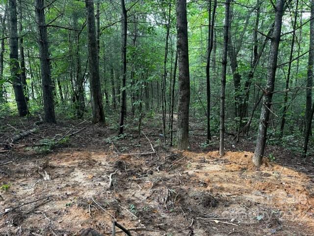 1923 Ridge Road, Unit 6 Hendersonville, NC 28792 - Photo 5 of 16 a view of a forest with trees
