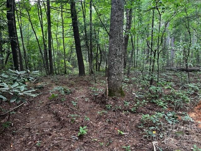1923 Ridge Road, Unit 6 Hendersonville, NC 28792 - Photo 7 of 16 a view of outdoor space and green space