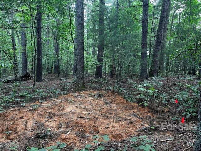 1923 Ridge Road, Unit 6 Hendersonville, NC 28792 - Photo 8 of 16 a view of a forest with trees in the background