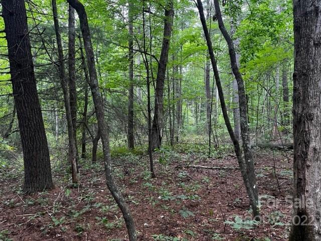 1923 Ridge Road, Unit 6 Hendersonville, NC 28792 - Photo 9 of 16 a view of outdoor space and green space