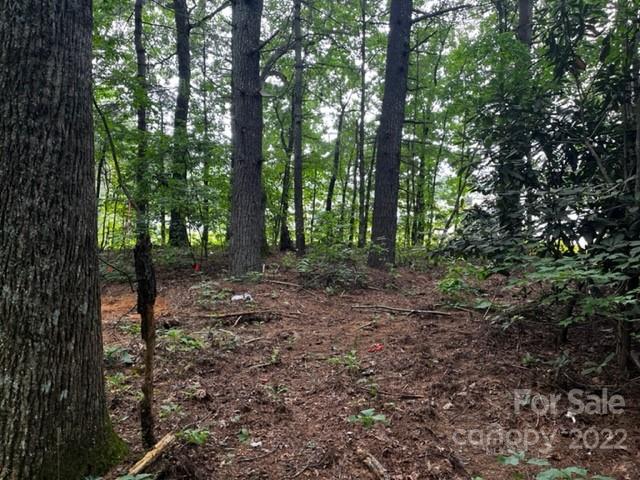 1923 Ridge Road, Unit 6 Hendersonville, NC 28792 - Photo 10 of 16 a view of outdoor space and green space