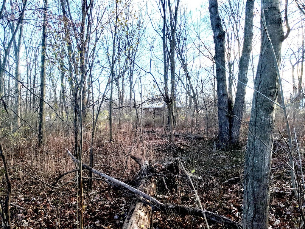 0 South Meridian Road Youngstown, OH 44515 - Photo 15 of 24 View of local wilderness