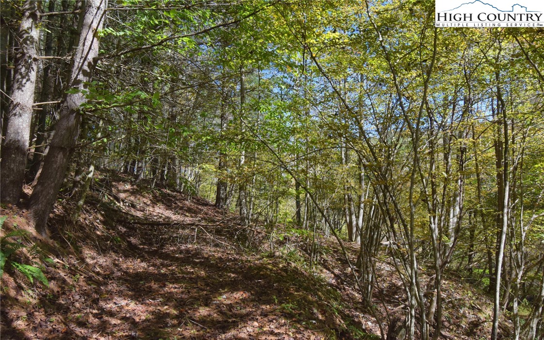 Garvey Bridge Road Crumpler, NC 28617 - Photo 11 of 17 Gallery Image 11