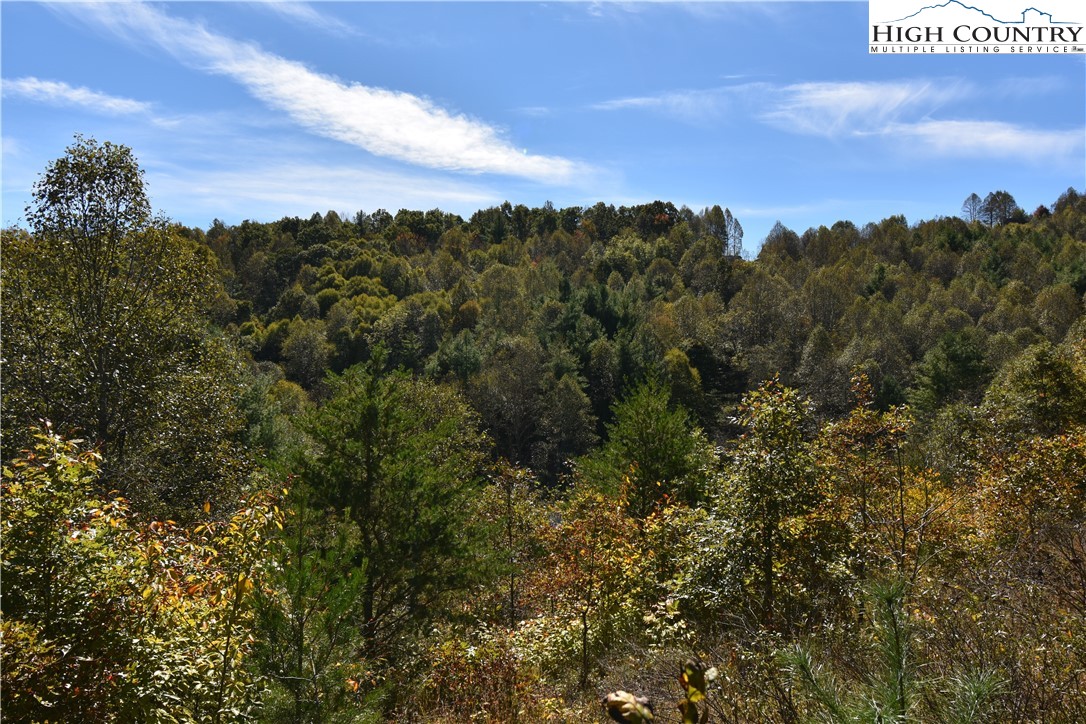 Garvey Bridge Road Crumpler, NC 28617 - Photo 12 of 17 Gallery Image 12