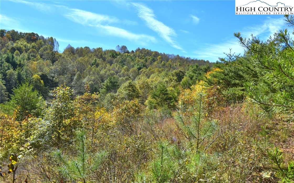 Garvey Bridge Road Crumpler, NC 28617 - Photo 13 of 17 Gallery Image 13