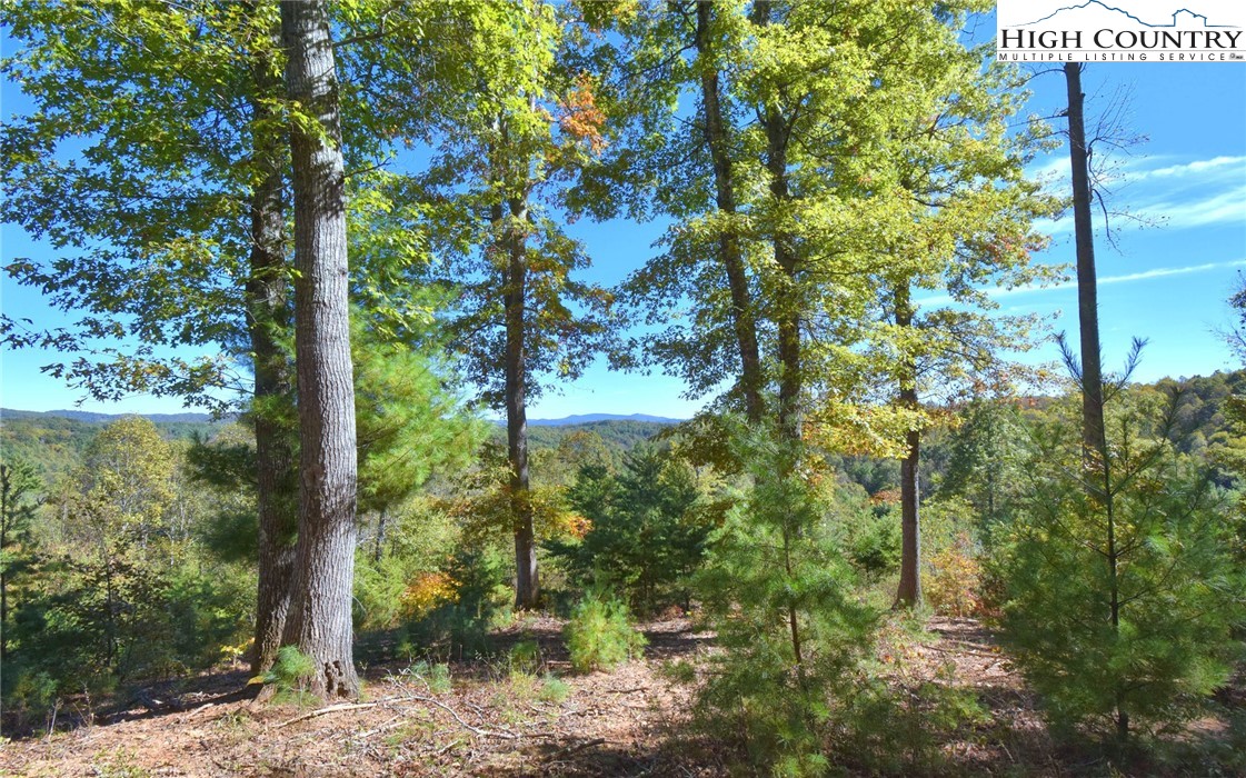 Garvey Bridge Road Crumpler, NC 28617 - Photo 14 of 17 Gallery Image 14