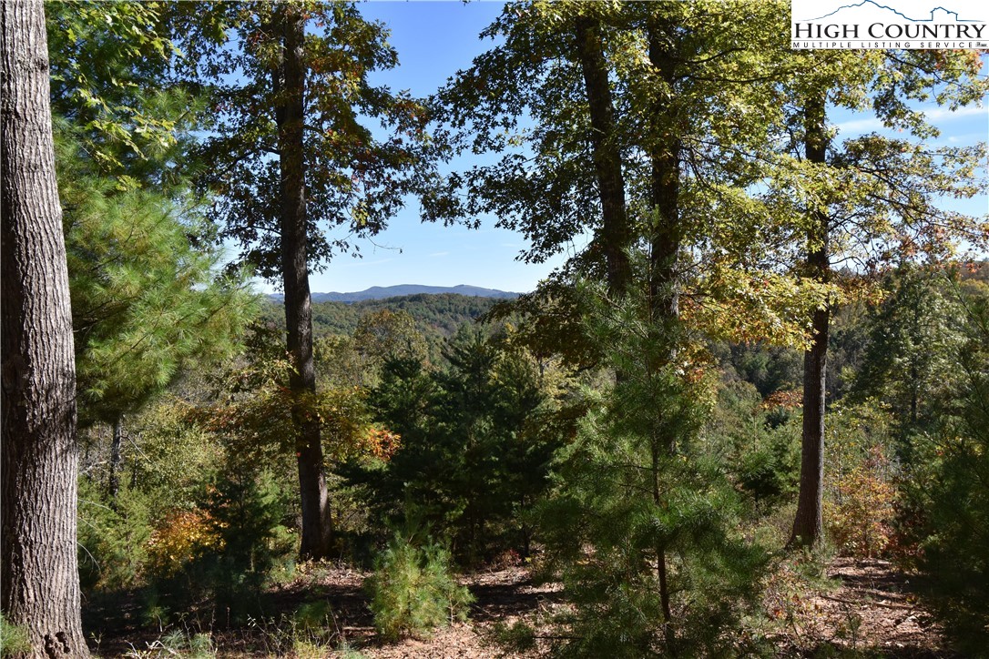 Garvey Bridge Road Crumpler, NC 28617 - Photo 15 of 17 Gallery Image 15