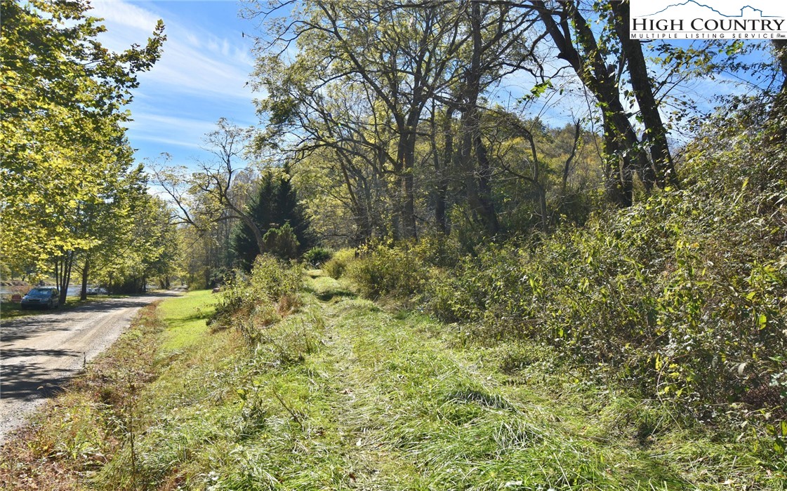 Garvey Bridge Road Crumpler, NC 28617 - Photo 4 of 17 Gallery Image 4