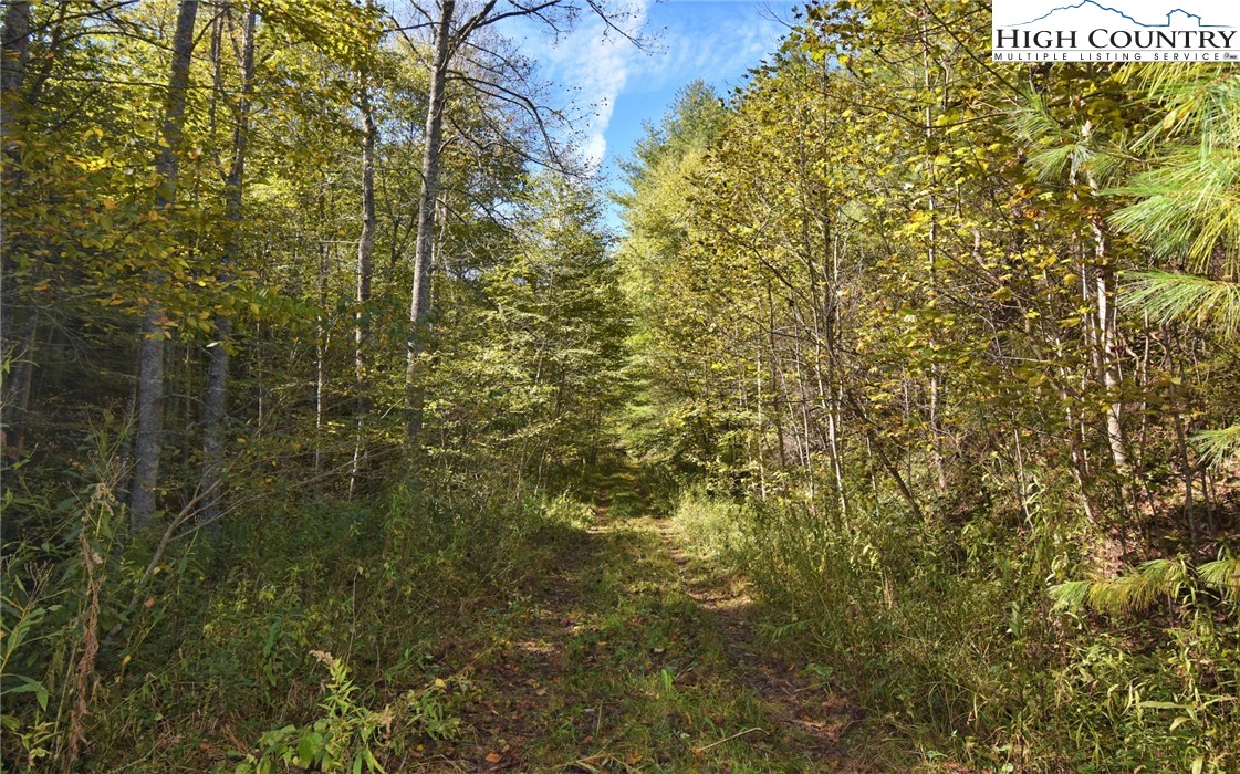 Garvey Bridge Road Crumpler, NC 28617 - Photo 5 of 17 Gallery Image 5