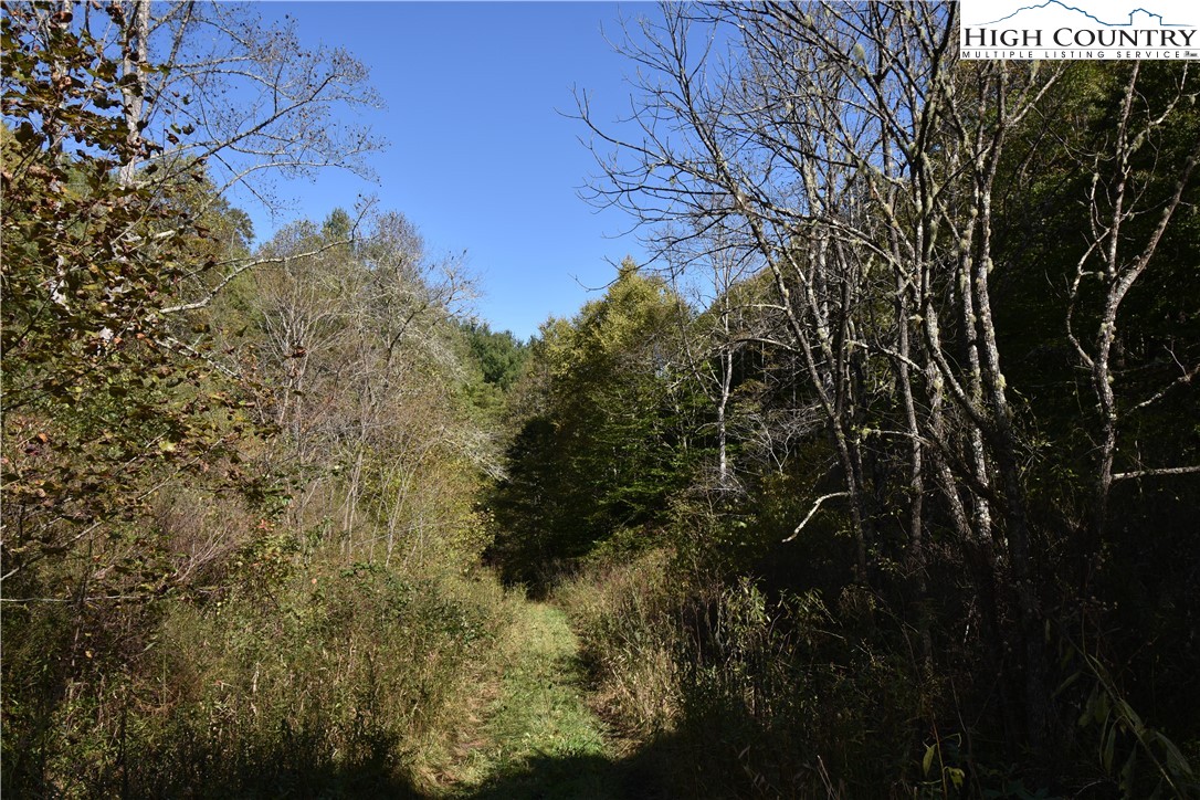 Garvey Bridge Road Crumpler, NC 28617 - Photo 7 of 17 Gallery Image 7