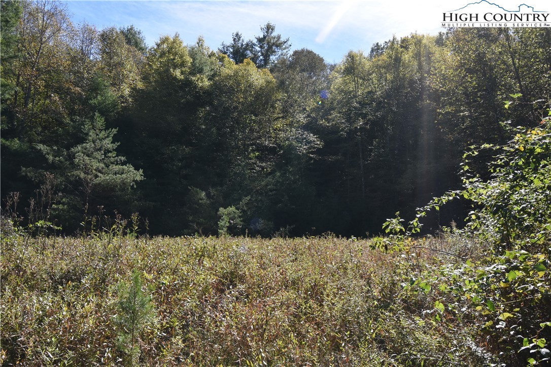 Garvey Bridge Road Crumpler, NC 28617 - Photo 8 of 17 Gallery Image 8