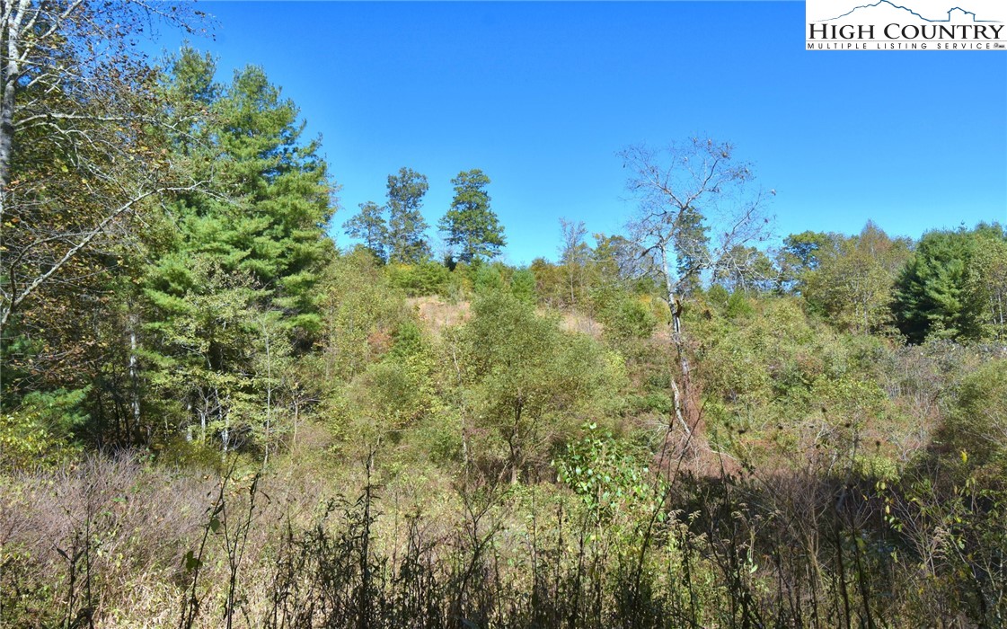 Garvey Bridge Road Crumpler, NC 28617 - Photo 10 of 17 Gallery Image 10
