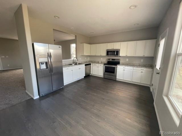 10520 Wells Point Fountain, CO 80817 - Photo 4 of 12