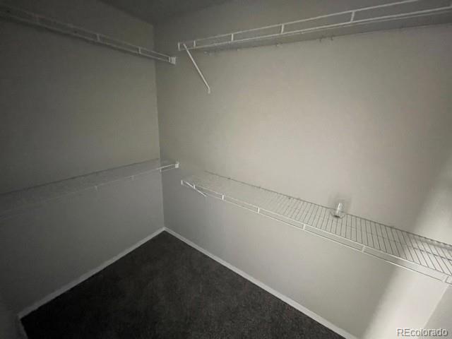 10520 Wells Point Fountain, CO 80817 - Photo 6 of 12