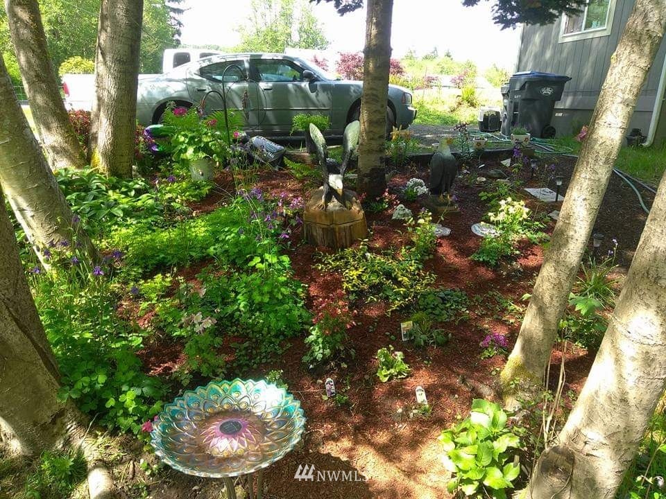 116 Oneill Road Elma, WA 98541 - Photo 3 of 9 Gallery Image 3