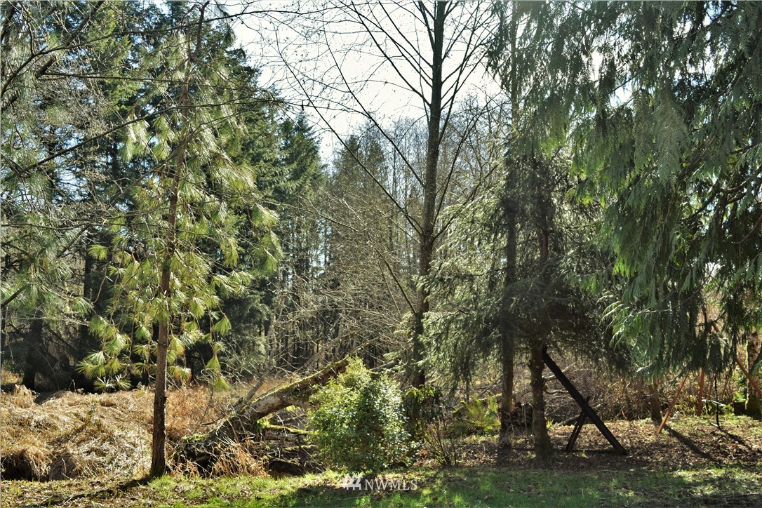 116 Oneill Road Elma, WA 98541 - Photo 4 of 9 Gallery Image 4