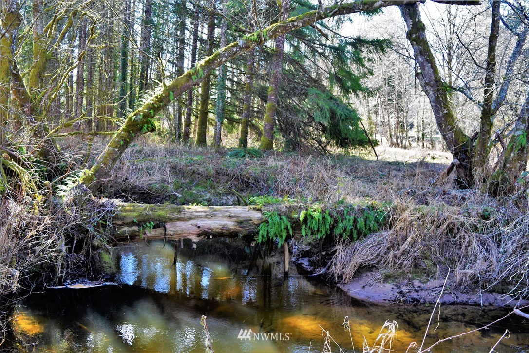 116 Oneill Road Elma, WA 98541 - Photo 7 of 9 Gallery Image 7