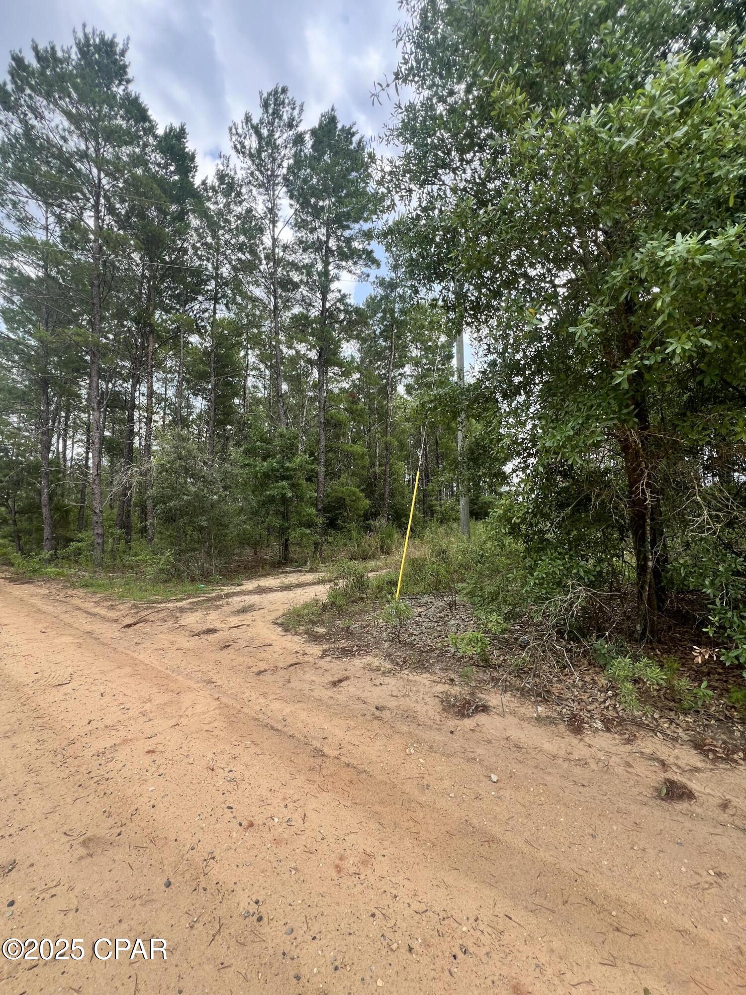 0 Fawn Ridge Chipley, FL 32428 - Photo 2 of 10 Gallery Image 2