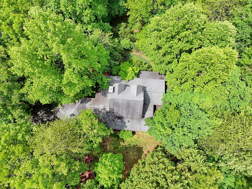 289 Doc Thomas Ridge Road Blairsville, GA 30512 - Photo 59 of 60