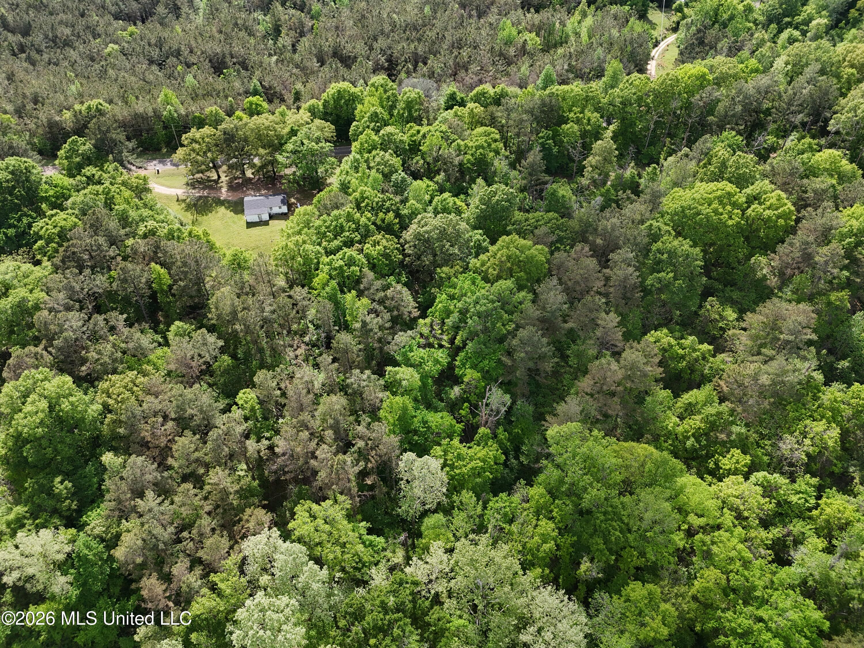 5171 Coxs Ferry Road Bolton, MS 39041 - Photo 6 of 20 AD7CE037-7BB6-47C8-BE28-75670B49136D