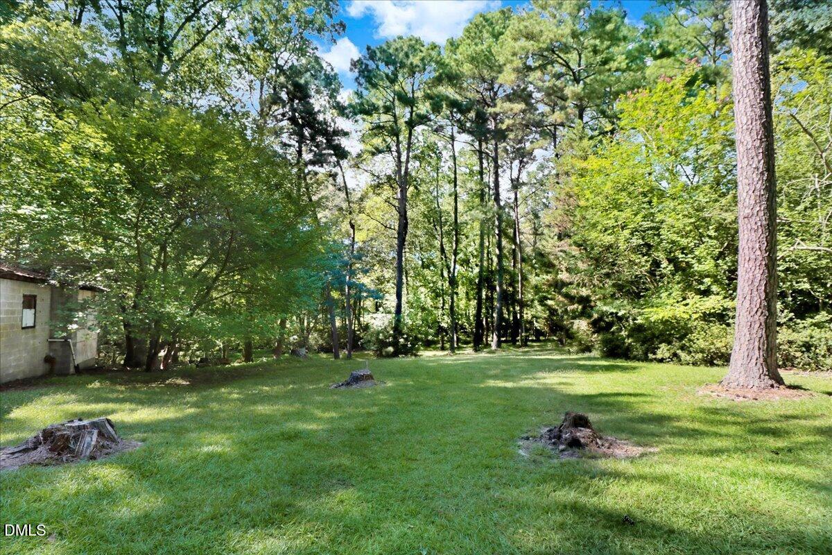 15653 Buffalo Road Clayton, NC 27527 - Photo 5 of 6