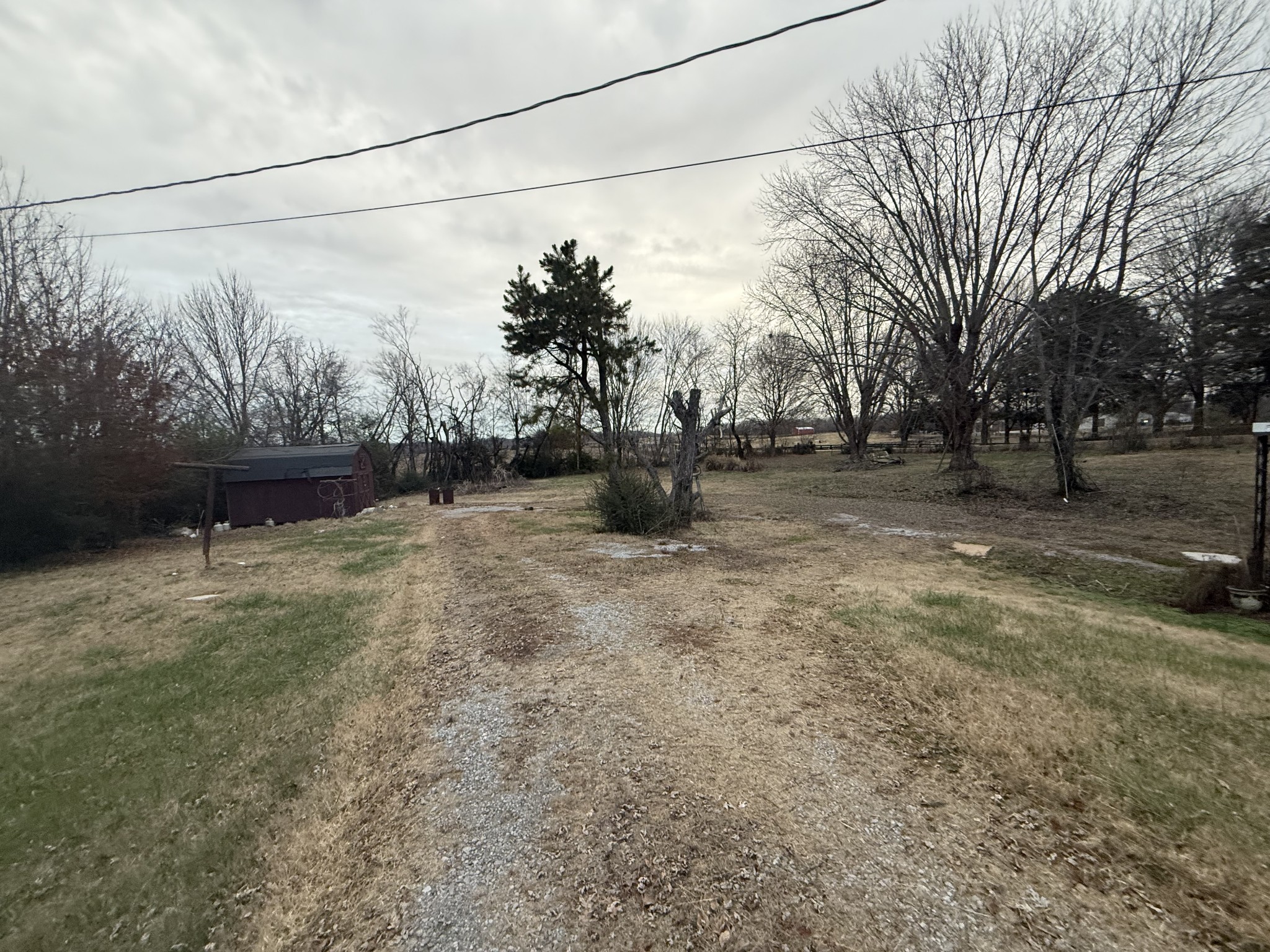 4425 Trough Springs Road Adams, TN 37010 - Photo 4 of 8