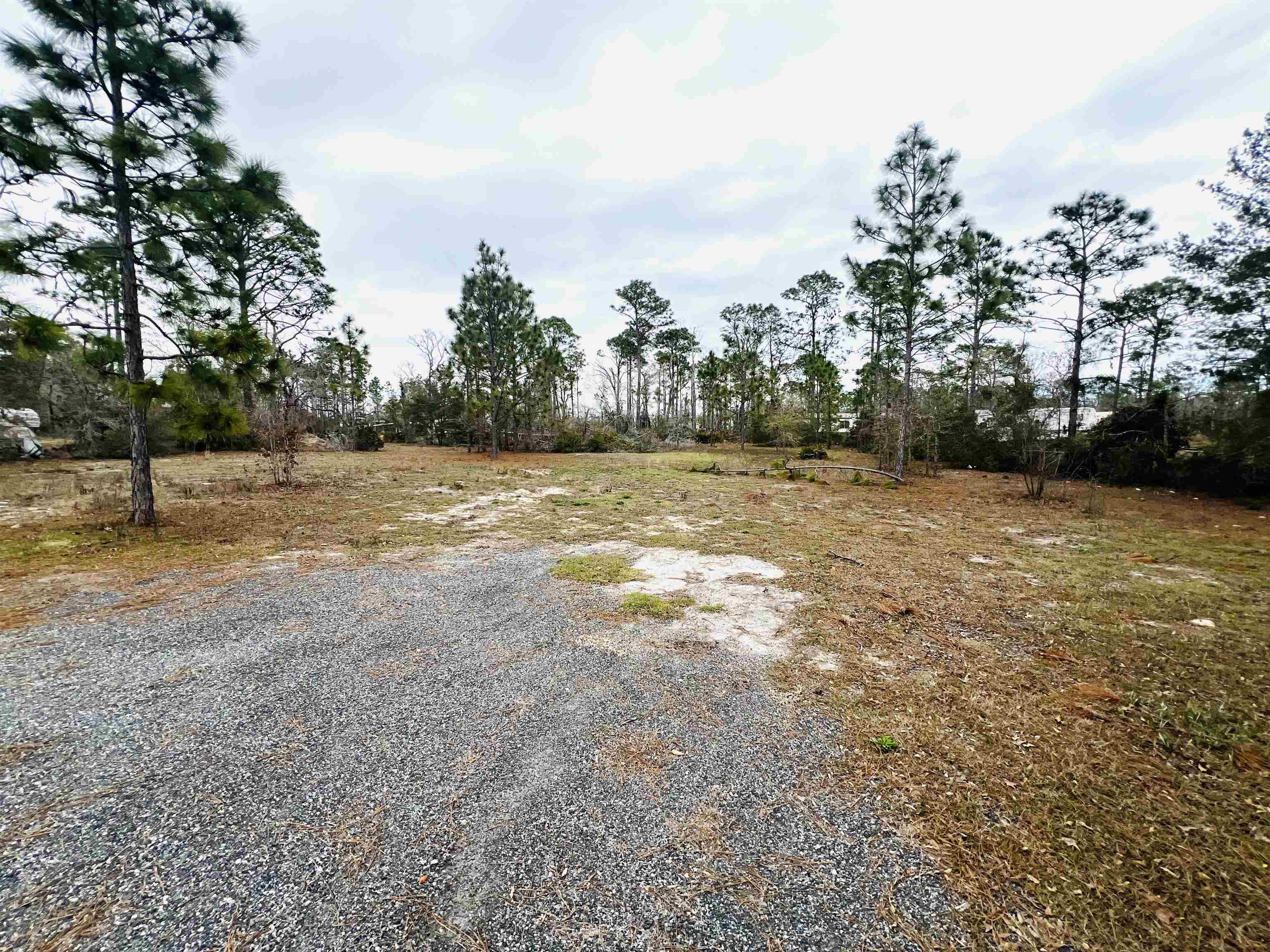 16550 Beach Road Perry, FL 32348 - Photo 11 of 13