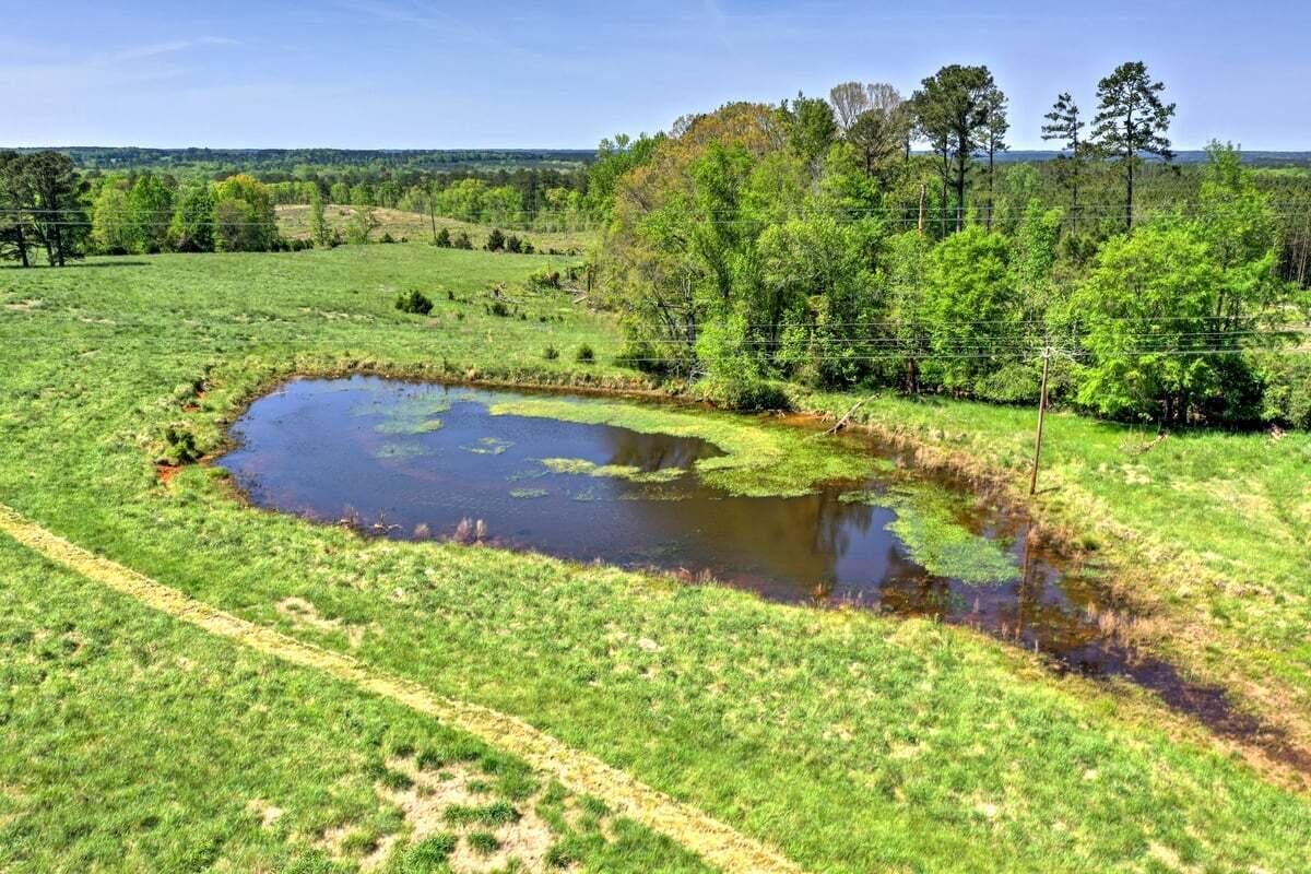 0 Garrard Road Washington, GA 30673 - Photo 4 of 13 Closeup view of pond
