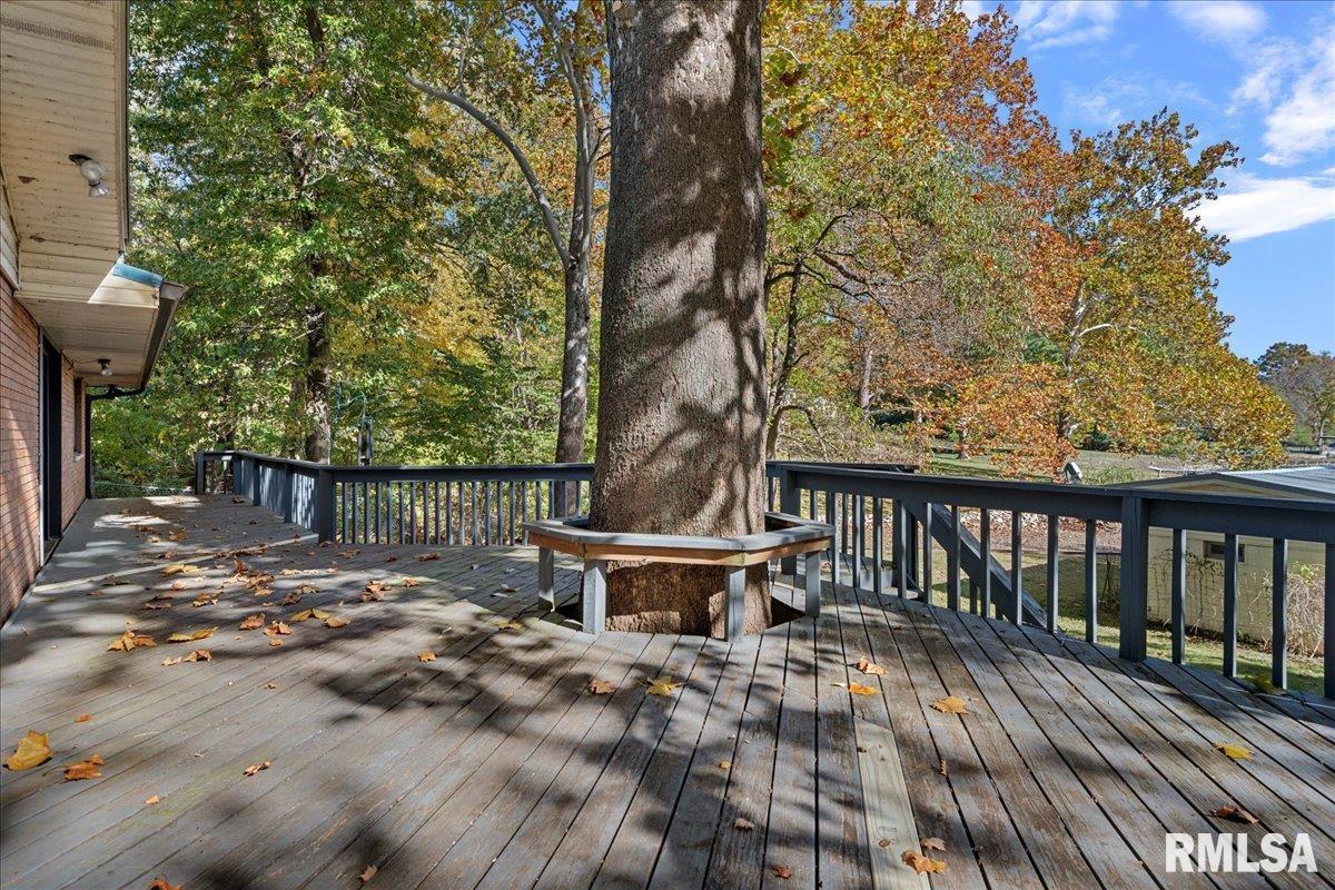 900 West Lake Shore Drive Springfield, IL 62712 - Photo 49 of 68