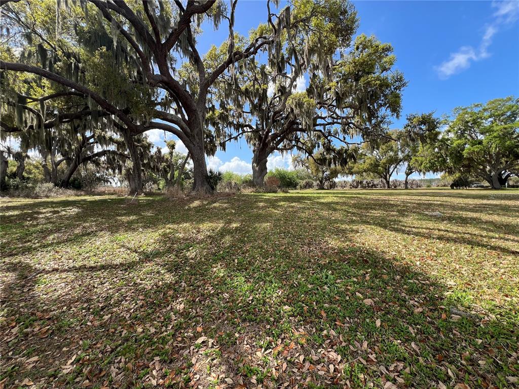 0 Apiary Road Grand Island, FL 32735 - Photo 16 of 22 Gallery Image 16