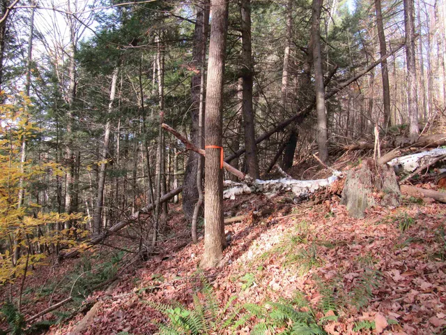 $299,000 | 812 Brown Farm Road, Lyndon, VT 05851