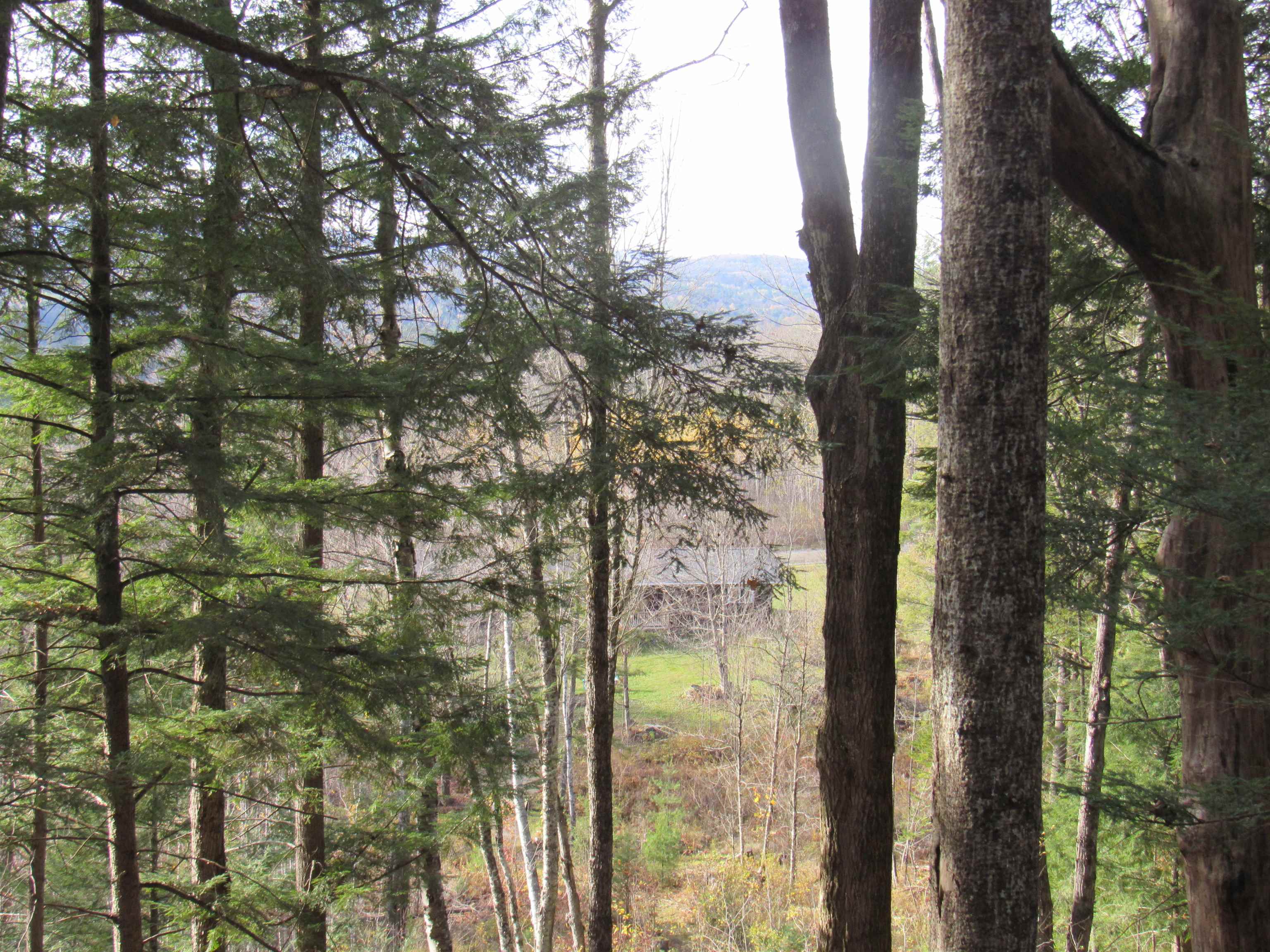 812 Brown Farm Road Lyndon, VT 05851 - Photo 12 of 44