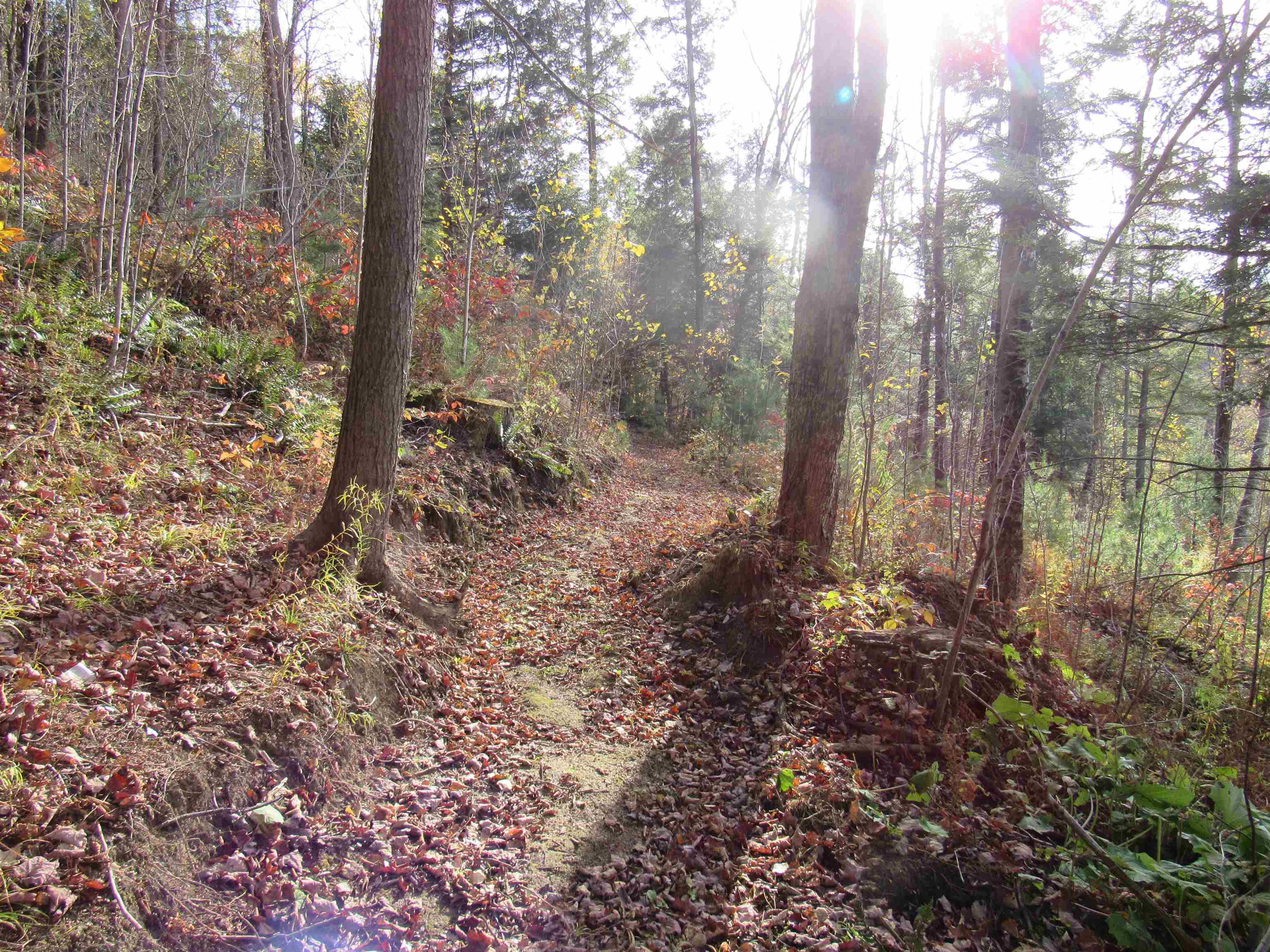 812 Brown Farm Road Lyndon, VT 05851 - Photo 13 of 44