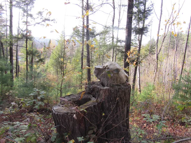 $299,000 | 812 Brown Farm Road, Lyndon, VT 05851