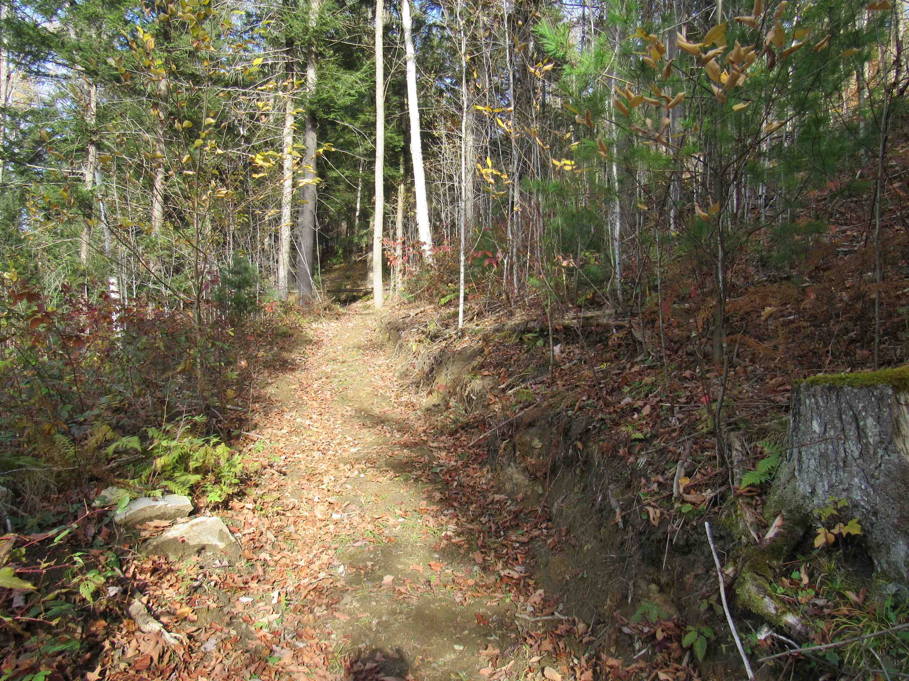 812 Brown Farm Road Lyndon, VT 05851 - Photo 7 of 44