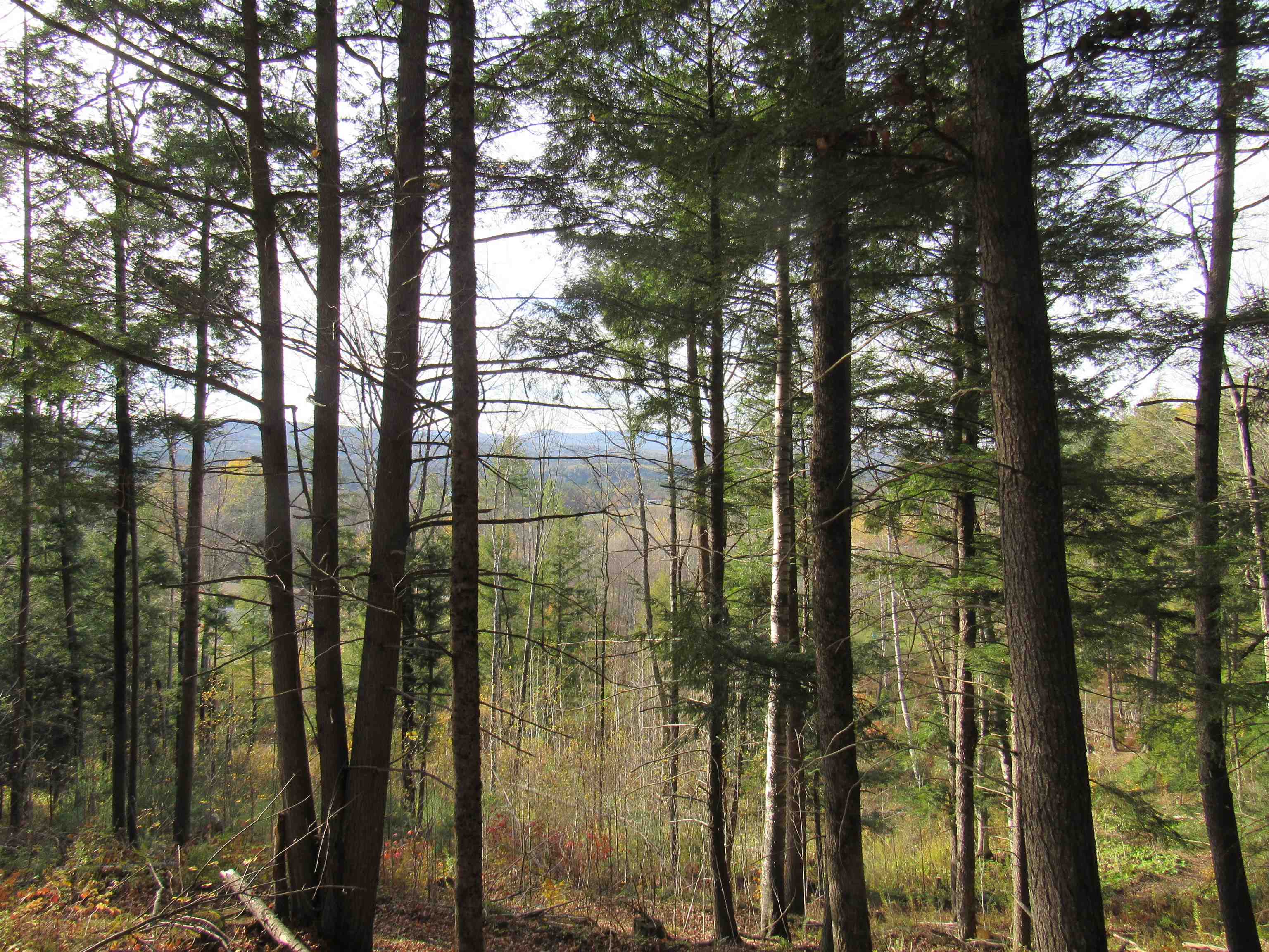 812 Brown Farm Road Lyndon, VT 05851 - Photo 9 of 44