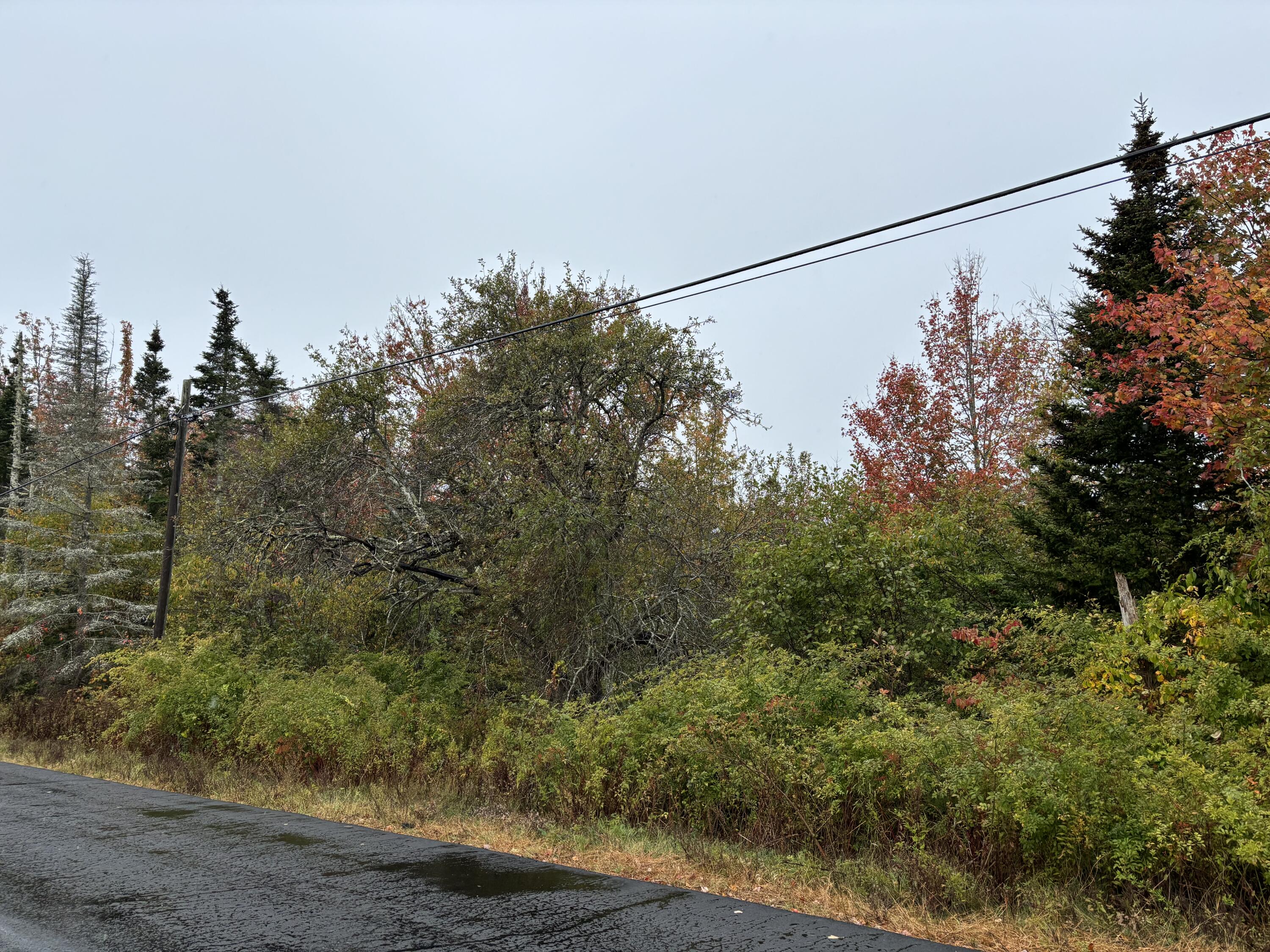 253 Hathorne Point Road Cushing, ME 04563 - Photo 11 of 12